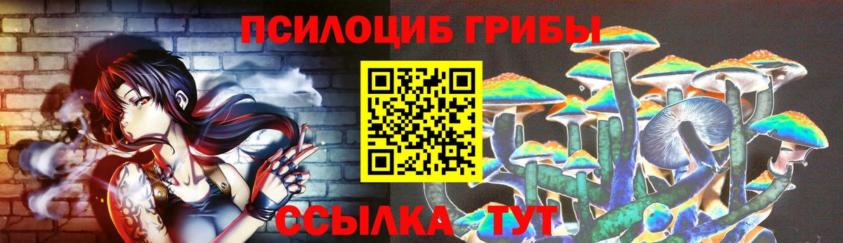 Псилоцибиновые грибы MAGIC MUSHROOMS  Псилоцибиновые грибы Psilocybe  Волгодонск  Вход с VPN 