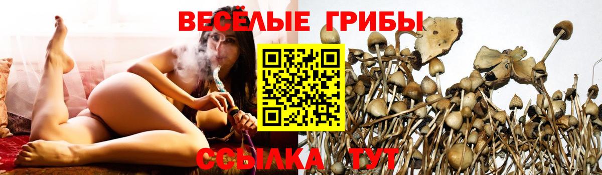 Галлюциногенные грибы GOLDEN TEACHER Волгодонск